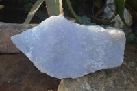 Natural Blue Lace Agate Geode Specimen x 1 From Nsanje, Malawi