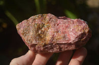 Natural Rough Red Rhodonite Specimens x 4 From Zimbabwe