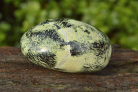 Polished Serpentine (Leopard Stone) Free Forms x 8 From Inyanga, Zimbabwe - TopRock