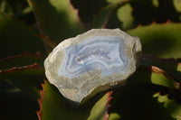 Polished One Side Polished Blue Lace Agate Pieces x 6 From Nsanje, Malawi