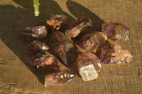 Natural Royal Zulu Window Amethyst Crystals x 14 From, Zululand