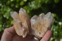 Natural Pink Candle Quartz Clusters  x 12 From Madagascar