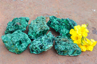 Natural Chatoyant Silky Malachite Specimens  x 6 From Kasompe, Congo - TopRock