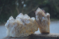 Natural Cascading White Phantom Smokey Quartz Clusters  x 2 From Luena, Congo - Toprock Gemstones and Minerals 