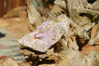 Natural Rough Stichtite & Serpentine Cobbed Specimens  x 5 From Barberton, South Africa - TopRock