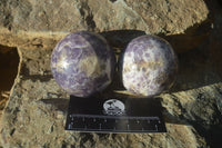 Polished Purple Lepidolite Spheres  x 6 From Zimbabwe