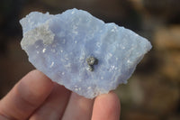 Natural Etched Blue Chalcedony Specimens  x 12 From Nsanje, Malawi