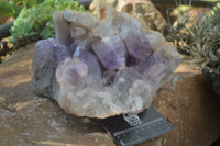 Natural Jacaranda Amethyst Cluster x 1 From Mumbwa, Zambia - TopRock