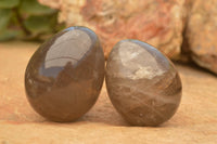 Polished Large Morion Smokey Quartz Eggs x 5 From Madagascar - TopRock