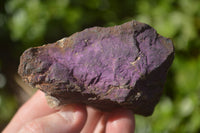 Natural Selected Purpurite Cobbed Specimens  x 14 From Namibia - TopRock