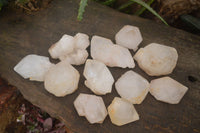 Natural Large Single Quartz Crystal Specimens  x 13 From Madagascar