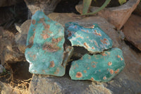 Polished One Side Polished Emerald Mtorolite Plates  x 3 From Zimbabwe