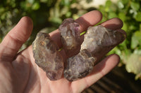 Natural Window Amethyst Crystals  x 12 From Chiredzi, Zimbabwe