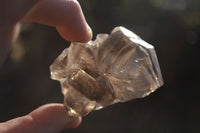 Natural Large Smokey Window Brandberg Quartz Crystals x 6 From Brandberg, Namibia