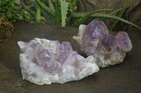 Natural Jacaranda Amethyst Clusters x 2 From Zambia