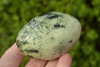 Polished Serpentine (Leopard Stone) Free Forms x 8 From Inyanga, Zimbabwe - TopRock