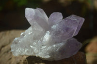 Natural Jacaranda Amethyst Clusters  x 3 From Mumbwa, Zambia - Toprock Gemstones and Minerals 