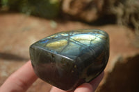 Polished Labradorite Standing Free Forms With Blue & Gold Flash  x 6 From Tulear, Madagascar - TopRock