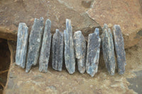 Natural Single Blue Kyanite Crystals  x 35 From Karoi, Zimbabwe - Toprock Gemstones and Minerals 