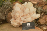 Natural Large Pineapple Candle Quartz Cluster  x 1 From Madagascar - TopRock