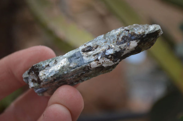 Natural Single Blue Kyanite Crystals  x 44 From Karoi, Zimbabwe