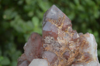 Natural Red Hematoid Quartz Specimens x 3 From Karoi, Zimbabwe