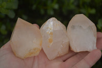 Natural Large Single Quartz Crystal Specimens  x 13 From Madagascar