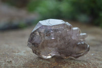 Natural Large Smokey Amethyst / Window Amethyst Crystals  x 12 From Chiredzi, Zimbabwe - Toprock Gemstones and Minerals 