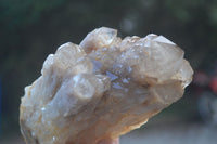 Natural Cascading White Phantom Smokey Quartz Clusters  x 2 From Luena, Congo - Toprock Gemstones and Minerals 