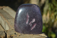 Polished Purple Lepidolite Standing Free Forms  x 2 From Zimbabwe - Toprock Gemstones and Minerals 