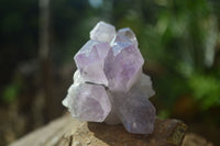 Natural Jacaranda Amethyst Clusters  x 3 From Mumbwa, Zambia - Toprock Gemstones and Minerals 