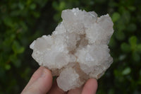 Natural White Cactus Flower Spirit Quartz Specimens x 6 From Boekenhouthoek, South Africa