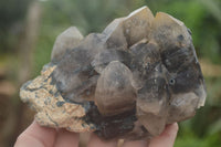 Natural Smokey Quartz Crystal Specimens  x 2 From Erongo Mountains, Namibia - TopRock