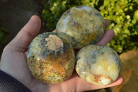 Polished Green & White Dendritic Opal Gallets x 12 From Madagascar - TopRock