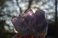 Natural Jacaranda Amethyst Clusters x 2 From Zambia