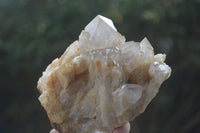 Natural Cascading White Phantom Smokey Quartz Specimens  x 3 From Luena, Congo - Toprock Gemstones and Minerals 