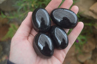 Polished Schorl Black Tourmaline Palm Stones  x 12 From Madagascar - Toprock Gemstones and Minerals 