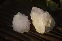 Natural White Cactus Flower Spirit Quartz Specimens x 12 From Boekenhouthoek, South Africa