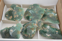 Polished  One Side Polished Emerald Mtorolite Plates  x 6 From Zimbabwe