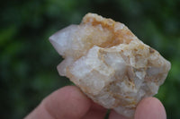 Natural Small Mixed Spirit Quartz Clusters  x 24 From Boekenhouthoek, South Africa - Toprock Gemstones and Minerals 