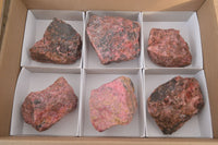 Natural Rough Red Rhodonite Specimens x 6 From Zimbabwe