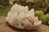 Natural Large Pineapple Candle Quartz Cluster  x 1 From Madagascar - TopRock