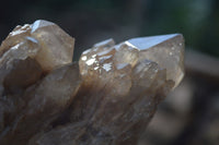 Natural Cascading White Phantom Smokey Quartz Clusters  x 3 From Luena, Congo - TopRock