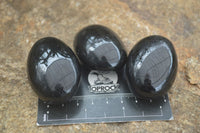 Polished Schorl Black Tourmaline Palm Stones  x 12 From Madagascar - Toprock Gemstones and Minerals 