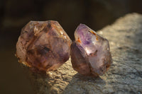 Natural Royal Zulu Window Amethyst Crystals x 14 From, Zululand