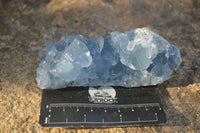 Natural Blue Celestite Crystal Specimens  x 3 From Sakoany, Madagascar - Toprock Gemstones and Minerals 