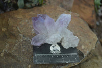 Natural Jacaranda Amethyst Clusters  x 3 From Mumbwa, Zambia - Toprock Gemstones and Minerals 