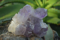 Natural Jacaranda Amethyst Clusters  x 2 From Zambia - Toprock Gemstones and Minerals 