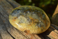 Polished Green & White Dendritic Opal Gallets x 12 From Madagascar - TopRock