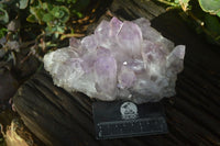 Natural Jacaranda Amethyst Clusters x 2 From Zambia